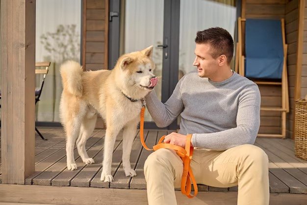 Un uomo seduto sulla veranda accarezza un cane akita al guinzaglio
